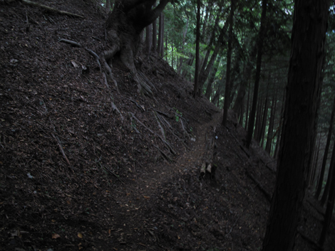20171012hike (284)